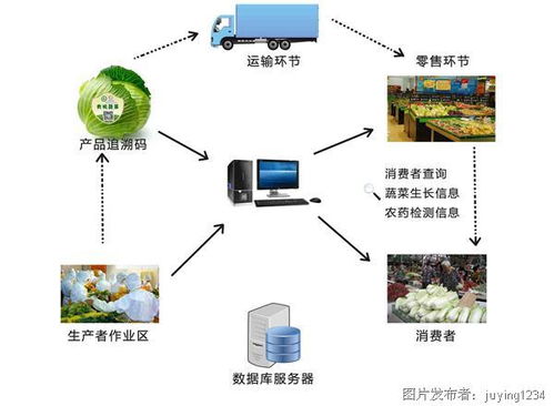 農(nóng)業(yè)物聯(lián)網(wǎng)的功能及應(yīng)用 開(kāi)啟智能農(nóng)業(yè)管理新時(shí)代
